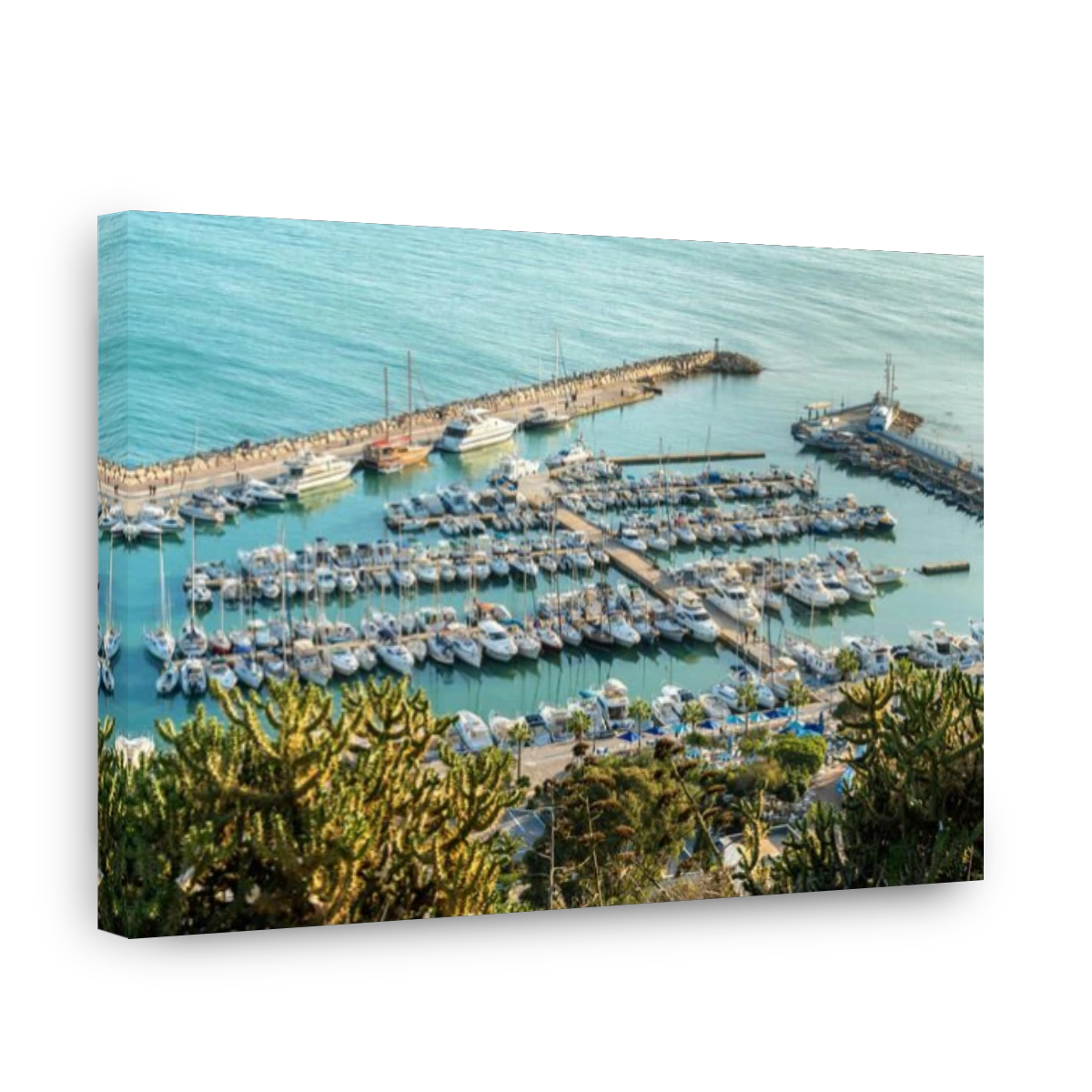 Port of Sidi Bou Said in Tunisia
