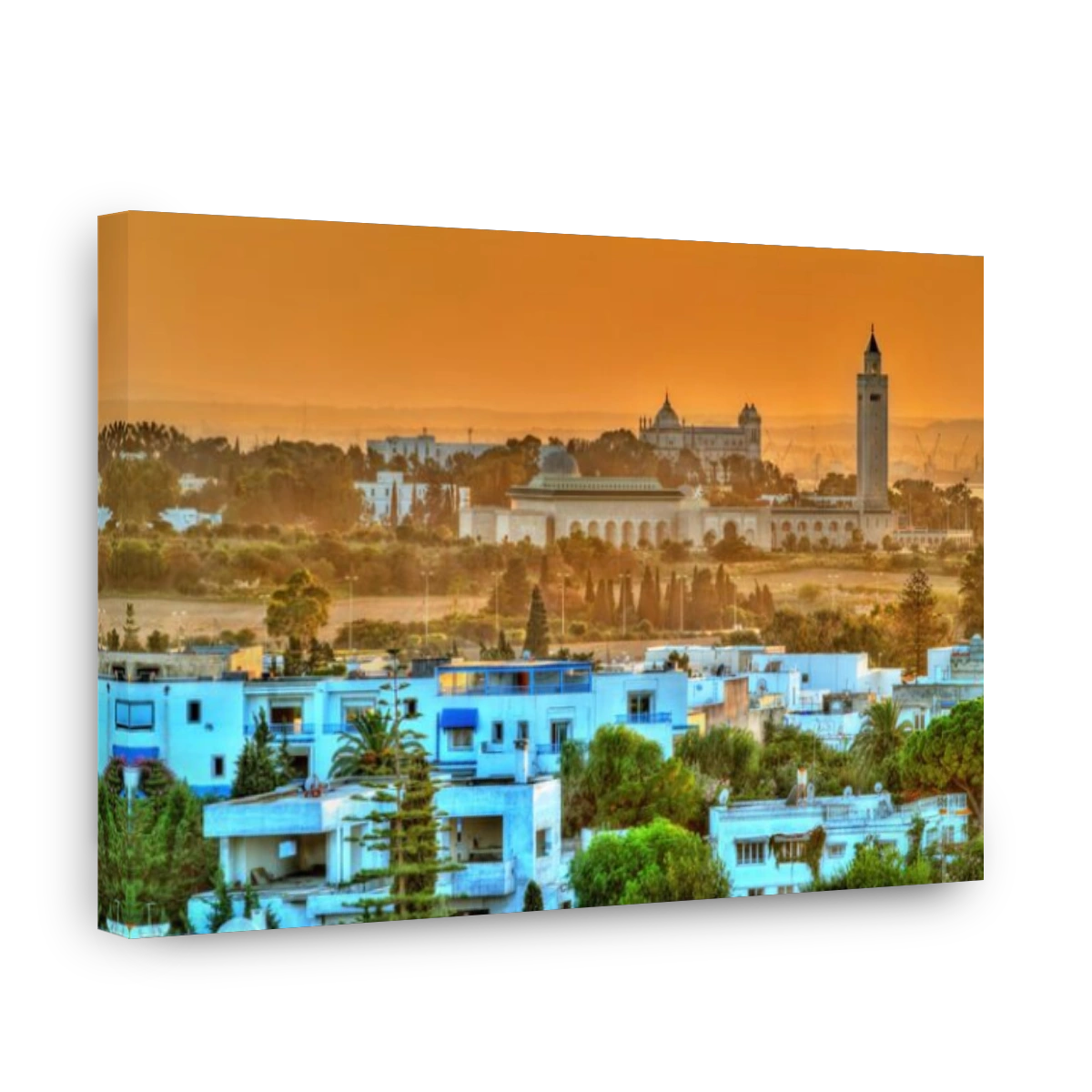 View of Sidi Bou Said and Carthage near Tunis, Tunisia