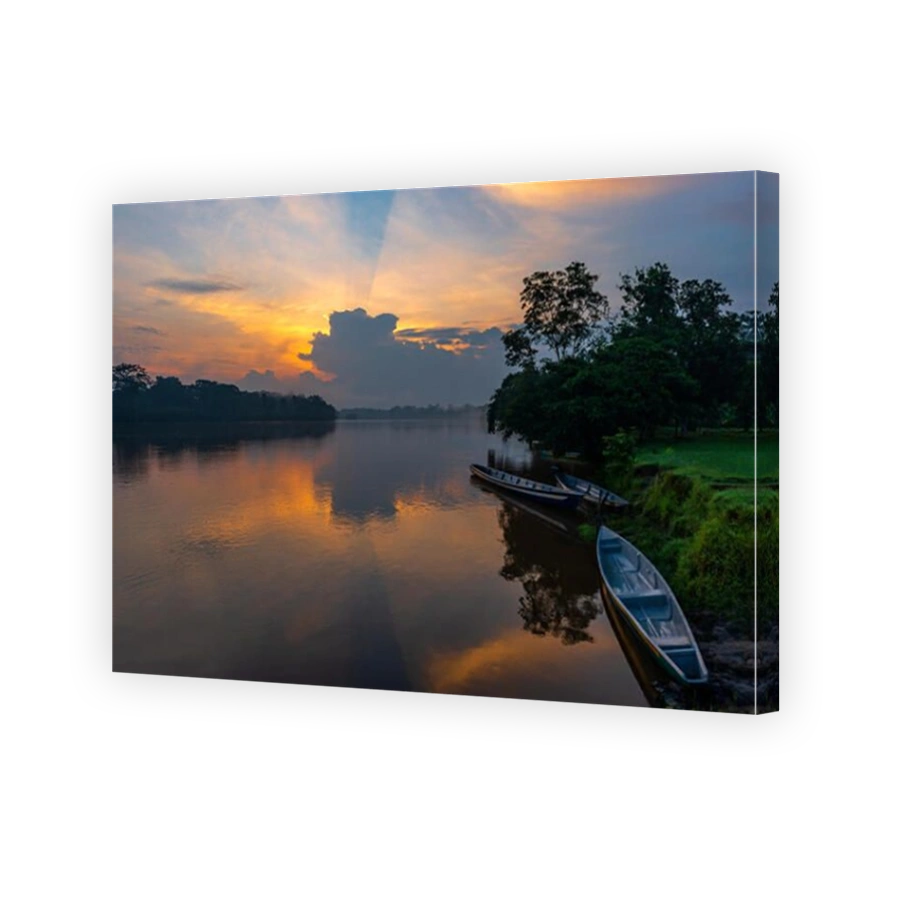 Canoes along the riverbank of the Cuyabeno Wildlife Reserve at sunset in the Amazon River Basin, Ecuador.