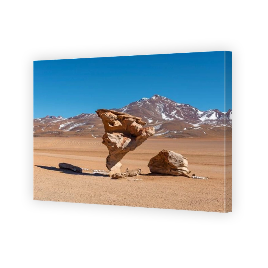 The Arbol de Piedra or stone tree in the Siloli desert, Eduardo Avaroa national reserve, Uyuni, Bolivia.
