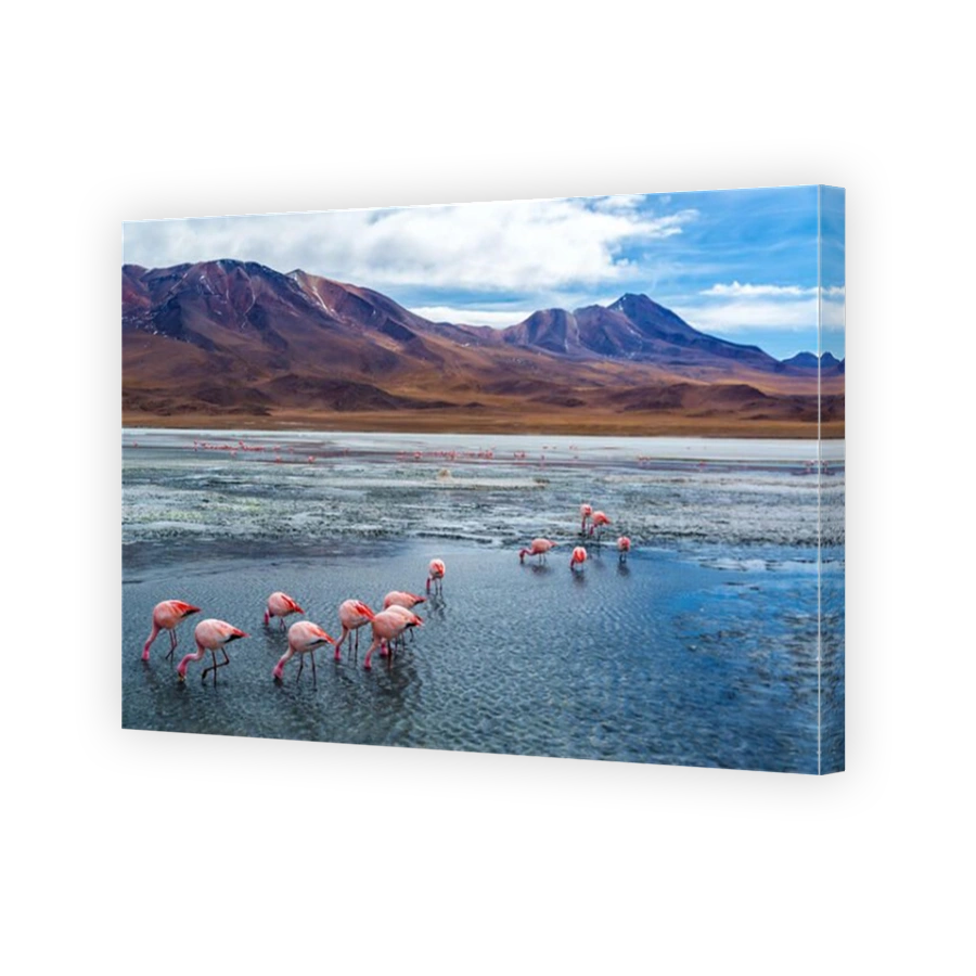 Pink flamingoes in Lake Hedionda in the high plains of Bolivia with Andean mountains in the background
