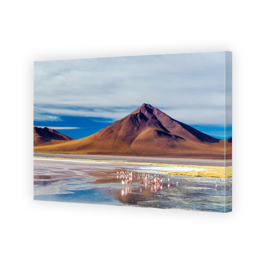 Flamingoes at the base of an Andean volcano in Uyuni, Bolivia in Laguna Colorada