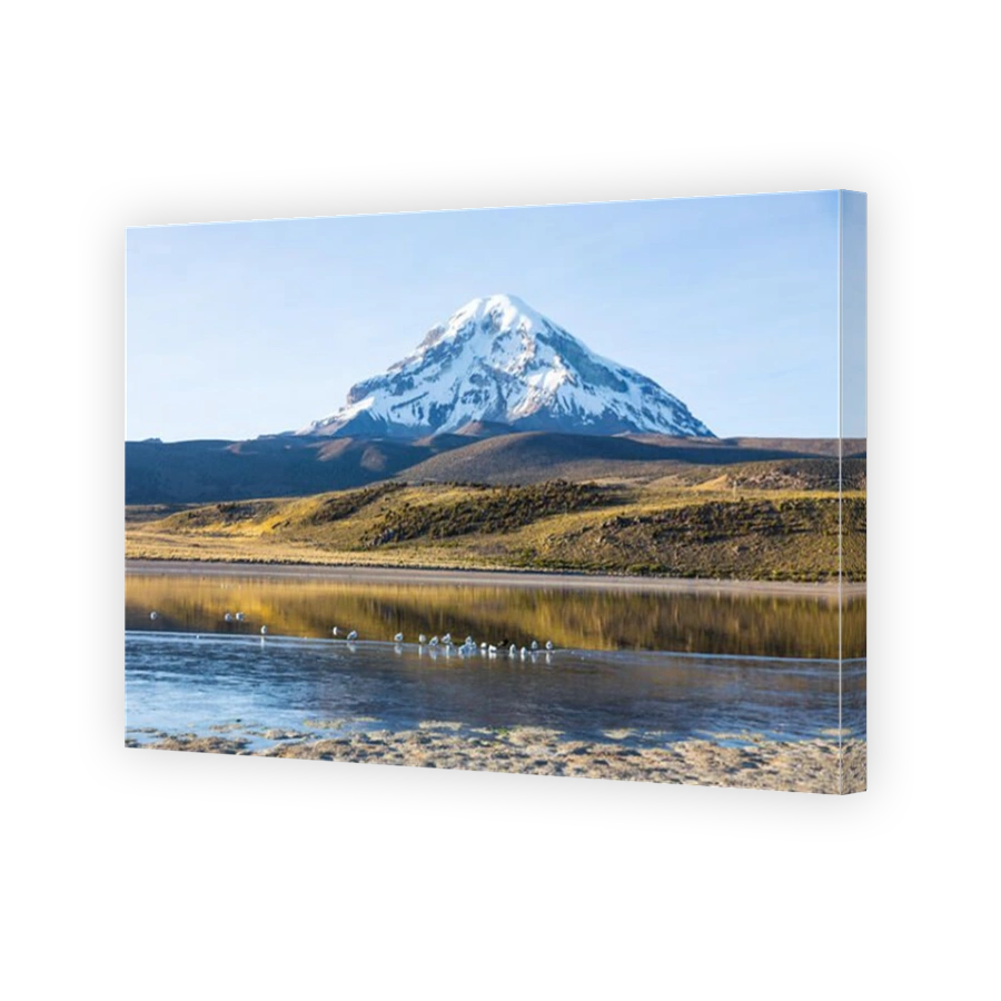 Sajama volcano and lake Huañacota, in the Natural Park of Sajama. Bolivia