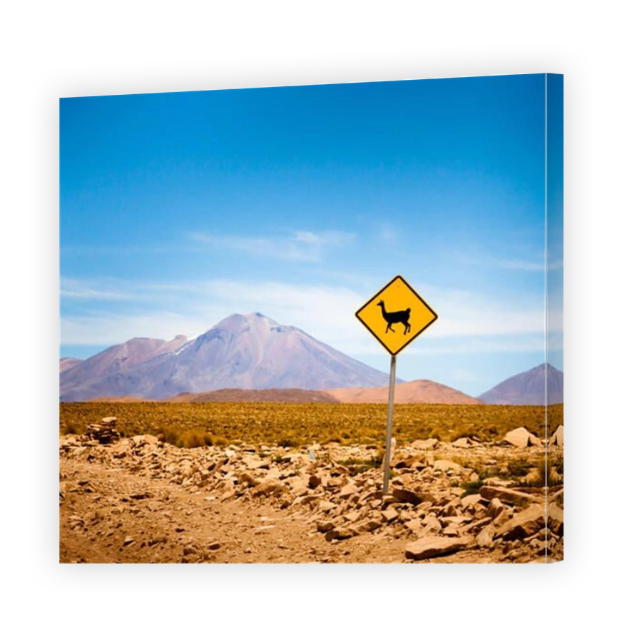 Llama road sign in Bolivia, Andes, South America
