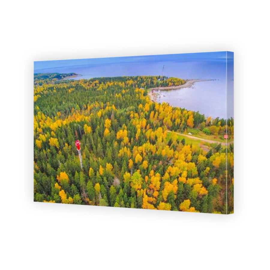 The aerial view of the forest in Juminda. Juminda is a village in Kuusalu Parish Harju County in northern Estonia.