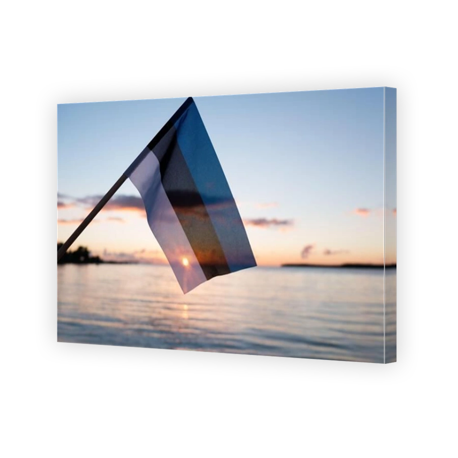 Estonian flag waving at sunset. Flag of Estonia on evening beach background.