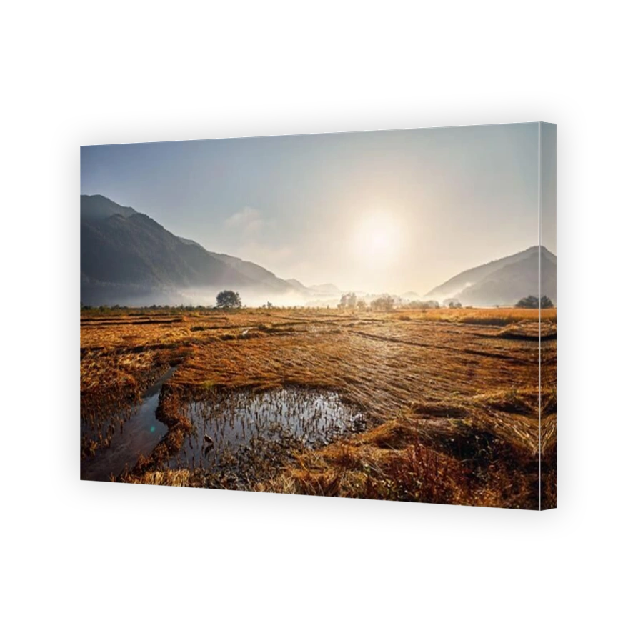 Rice field near Himalaya Mountains at sunrise in Pokhara, Nepal
