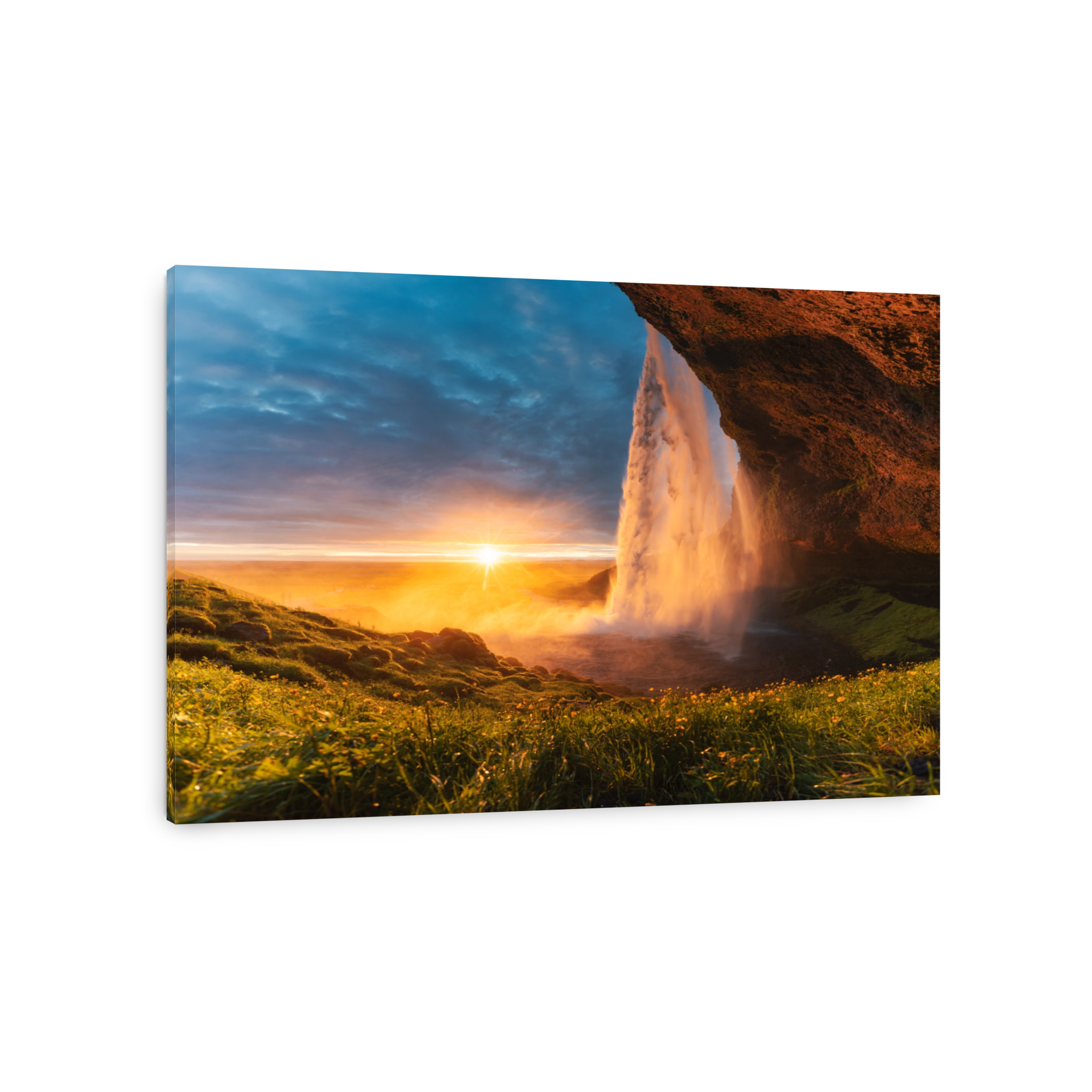 Beautiful Seljalandsfoss waterfall flowing and midnight sunset shining on flower garden in summer at Iceland