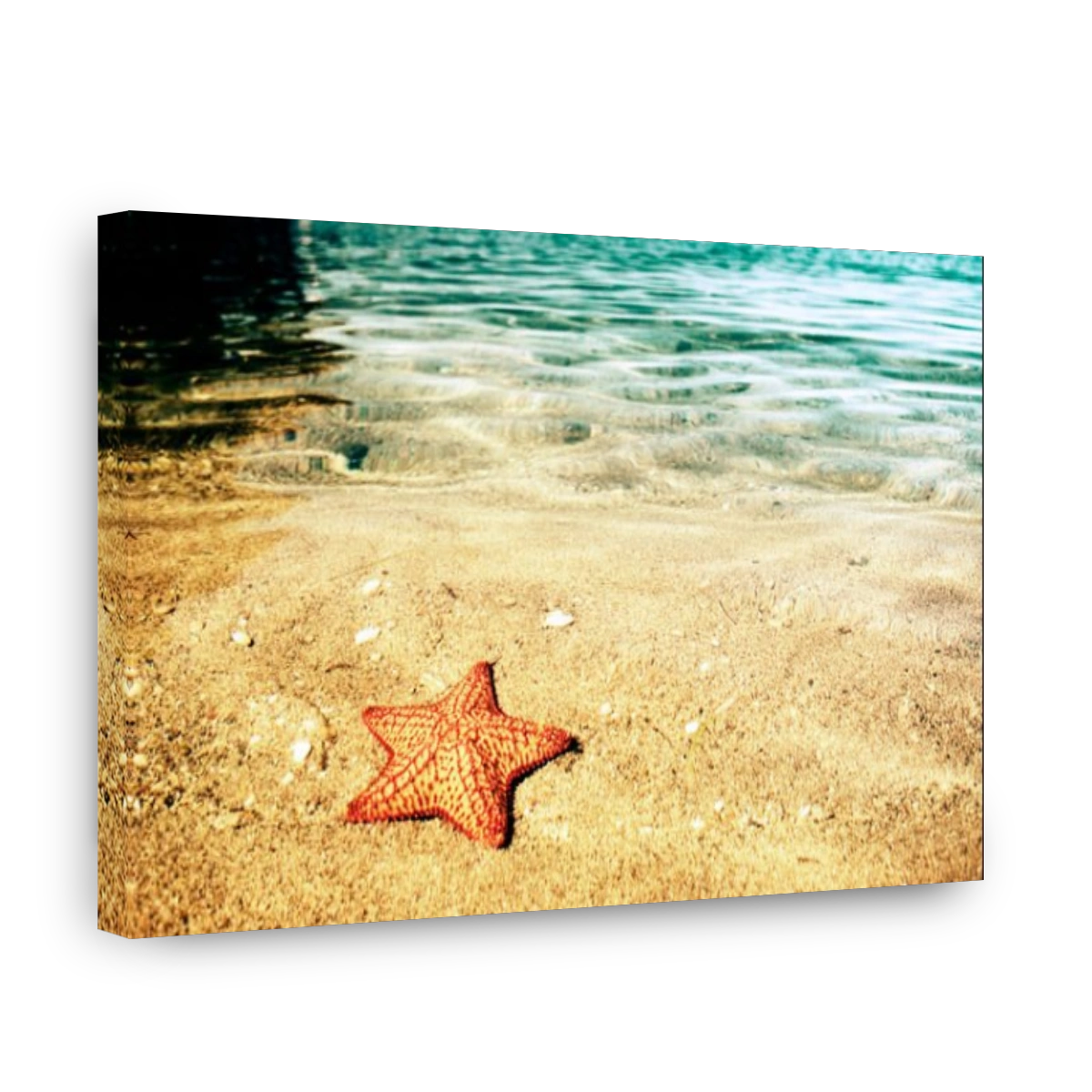 Starfish on the beach at Cochino Grande, in the Cayos Cochinos, or "Hog Islands."
