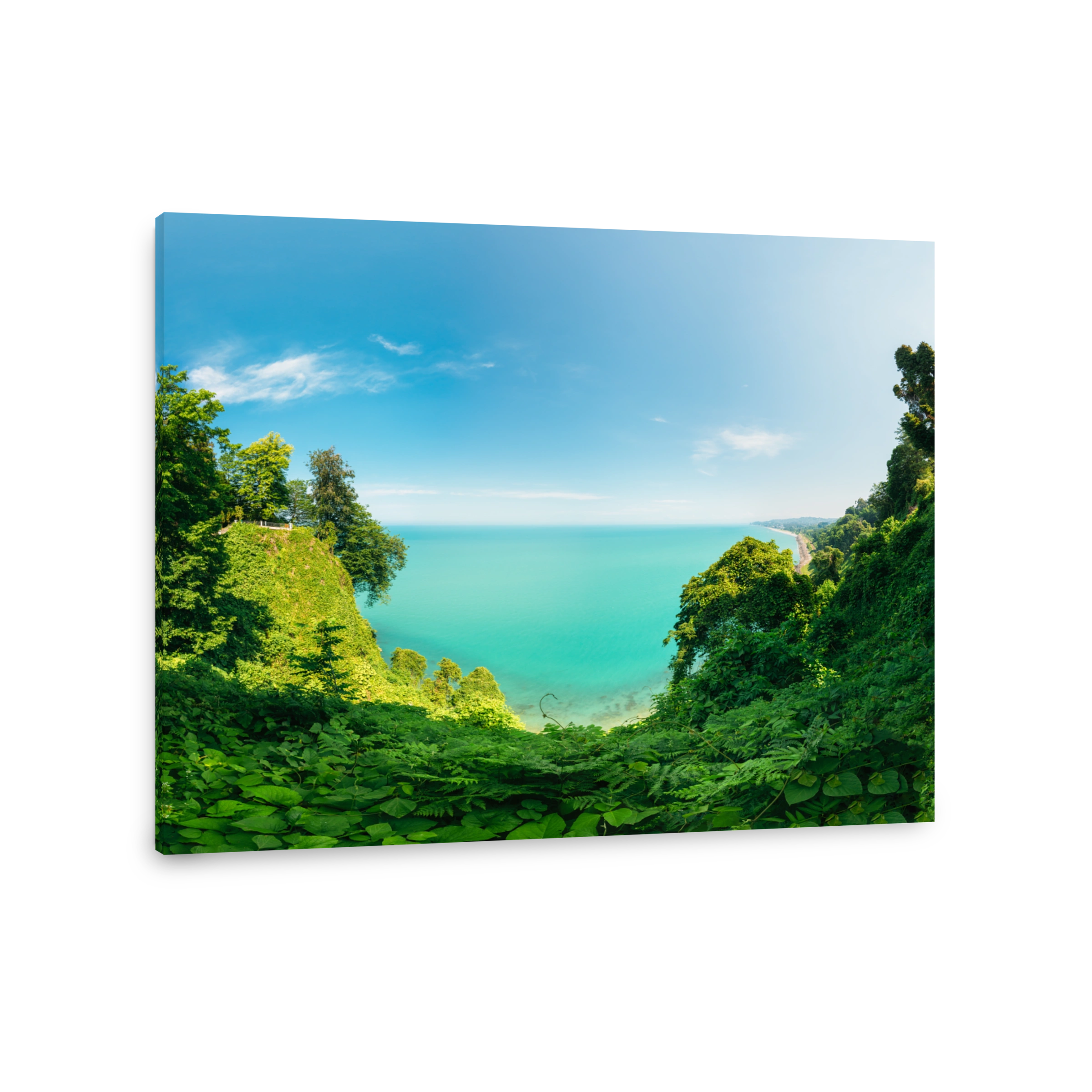 Batumi, Adjara Georgia. Beautiful Scenic Summer View From Botanical Garden Of Sea Bay. The Lush Green Vegetation Of Summer. Sunny Day