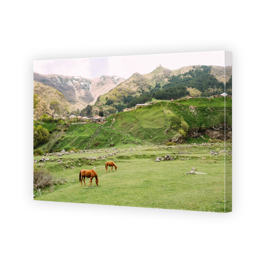 Horse Eating Grass In Spring Pasture. Horse Grazing On A Green Mountain Slope In Spring In Mountains Of Georgia.