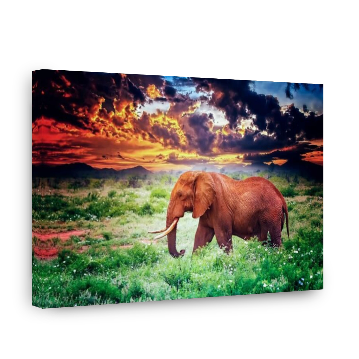 Close up photo of red African elephant in Africa. It is a wildlife photo of Tsavo East National park, Kenya. In the background are the mountains and M