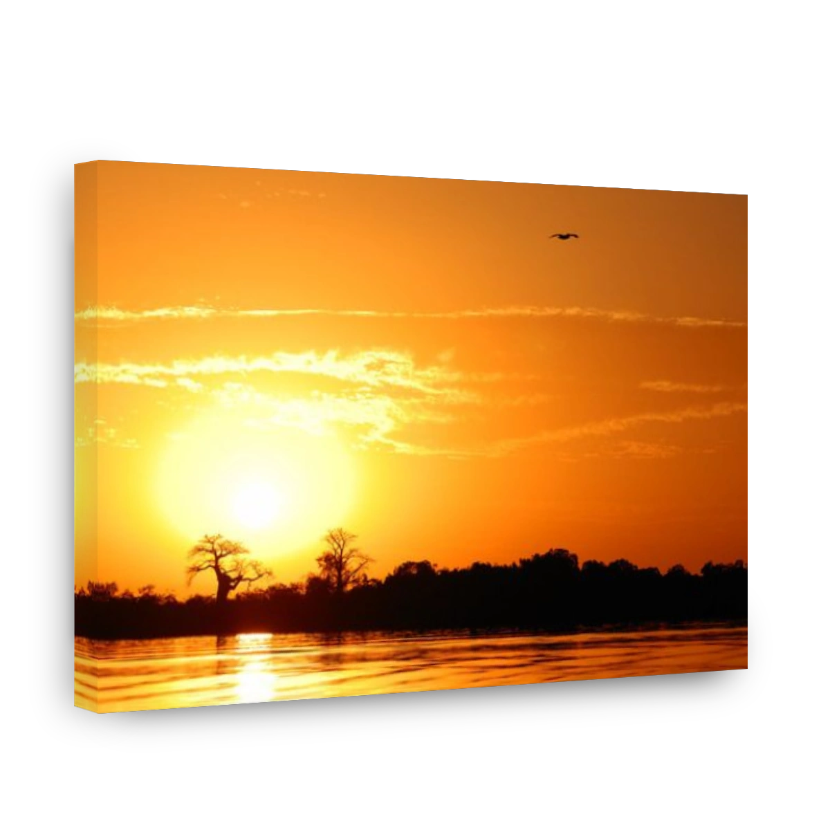 African landscape, Senegal, sine saloum