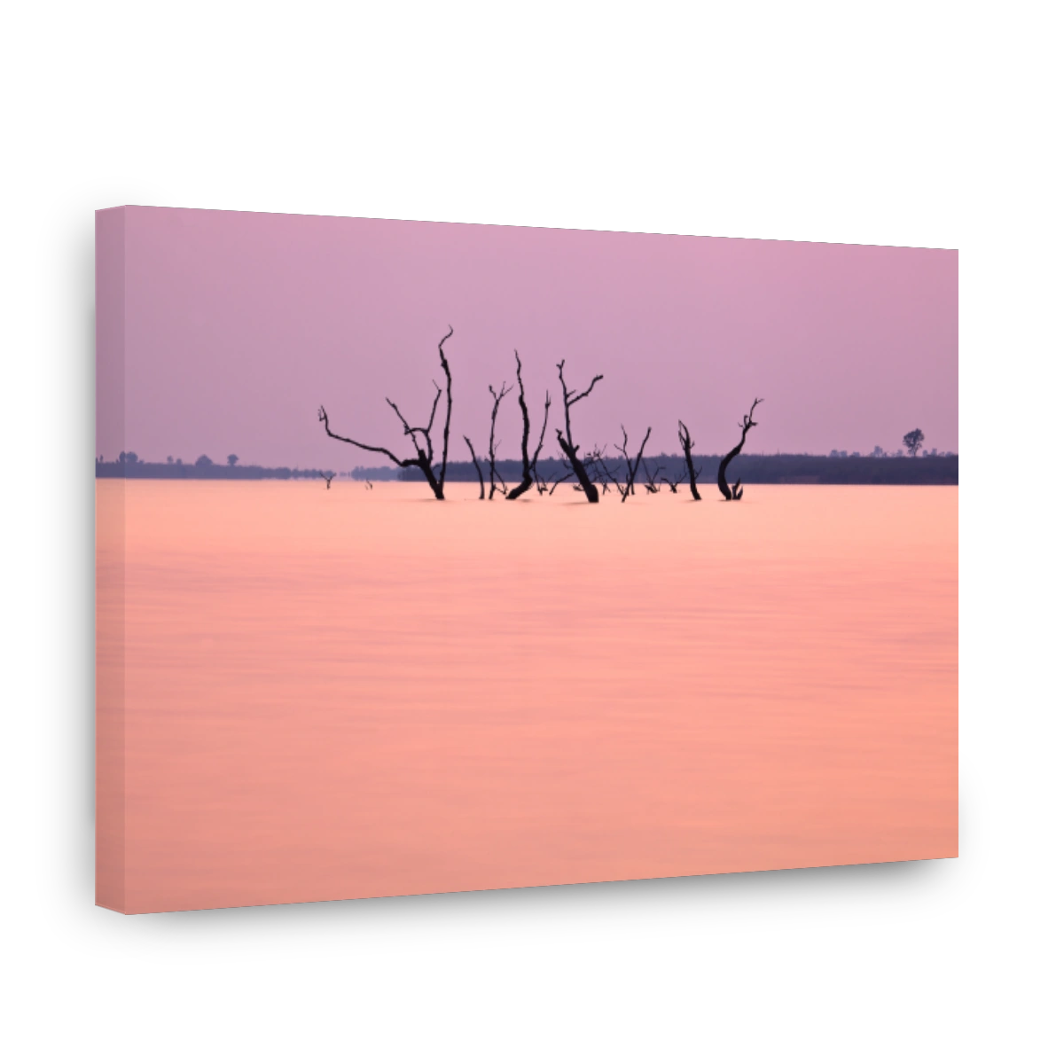 Trees of Kariba