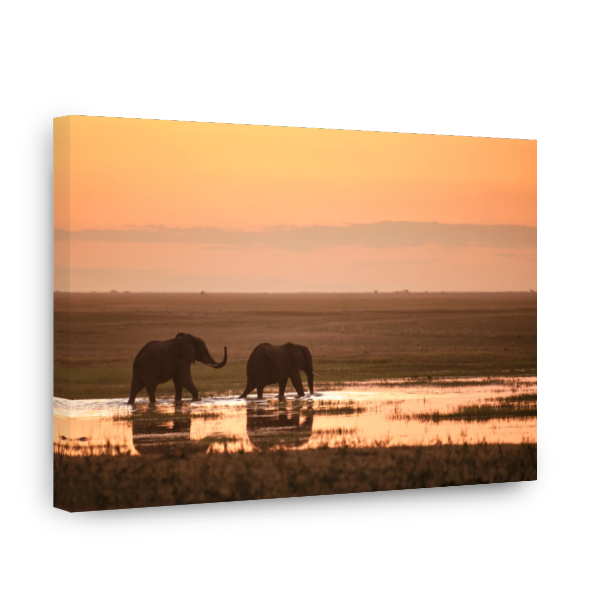 Two Elephants in the sunset