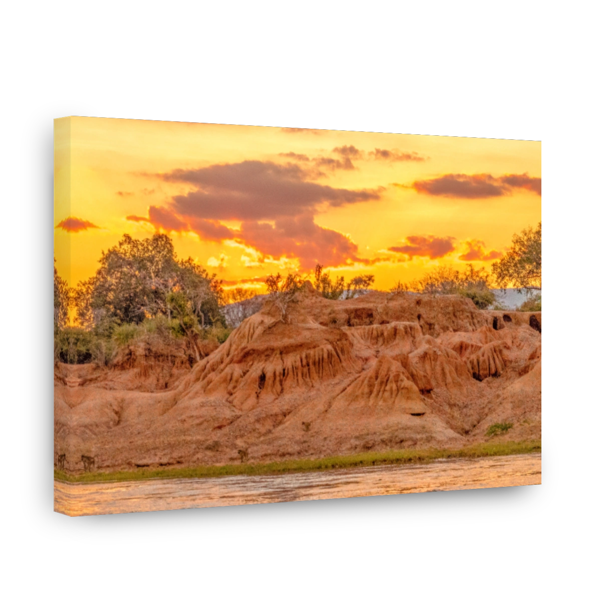 Lower Zambezi National Park - 2019