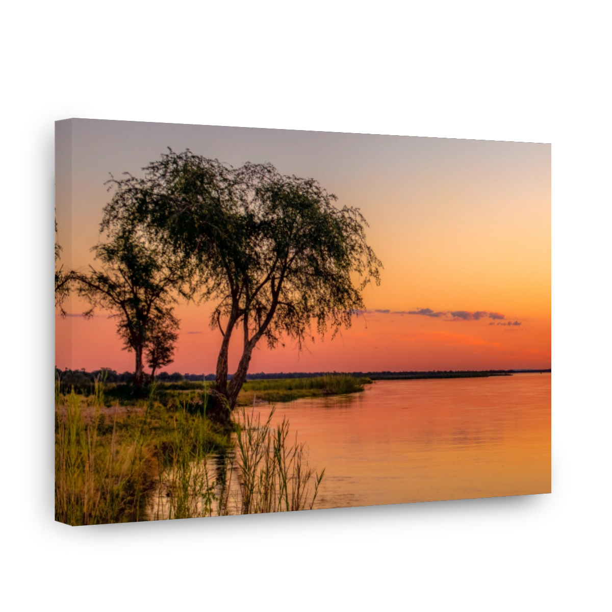 Lower Zambezi National Park - 2019