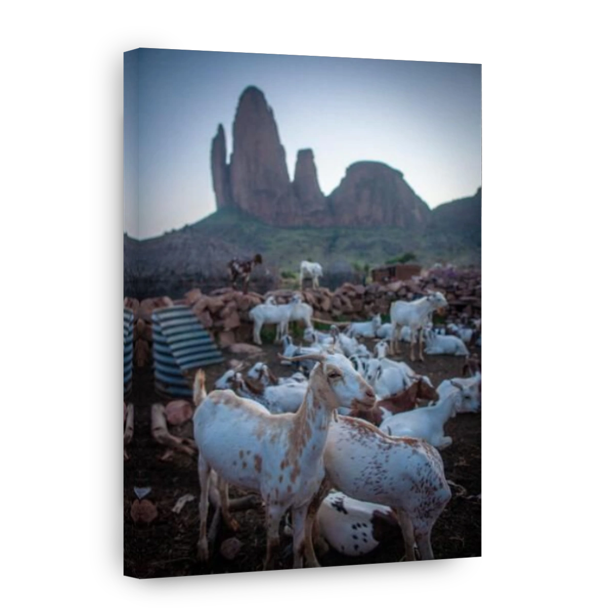 Goats with landscape view of Fatima rock formation near Hombori