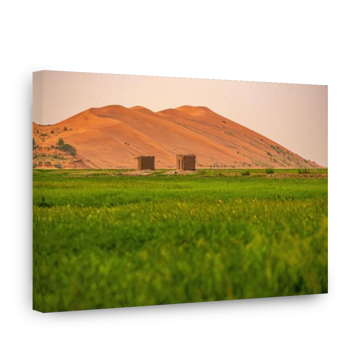 Mali Gao, View from sand dune called La  Dune Rose  with green rice field