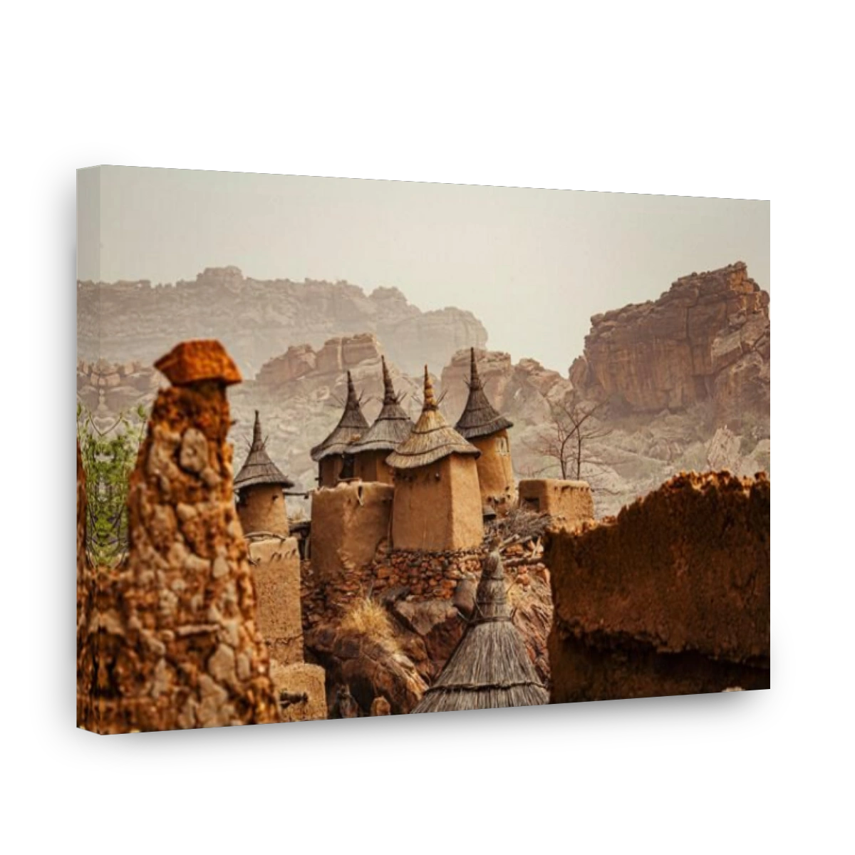 Dogon village and typical mud buildings, buildings used as barns for the storage of cereals , Mali , West Africa