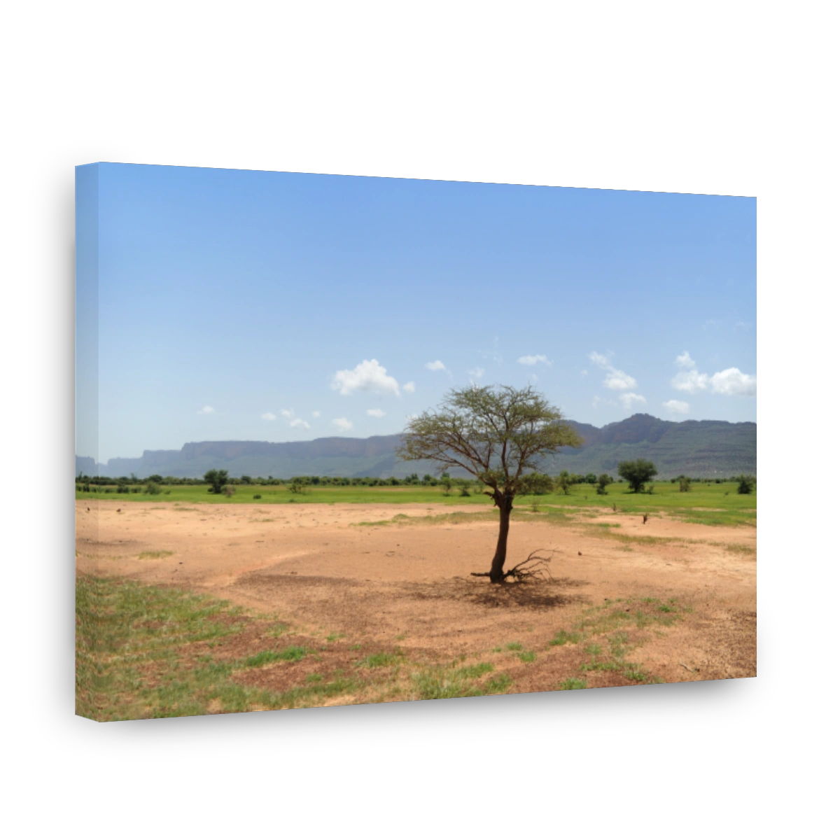 Inland landscapes of Mali