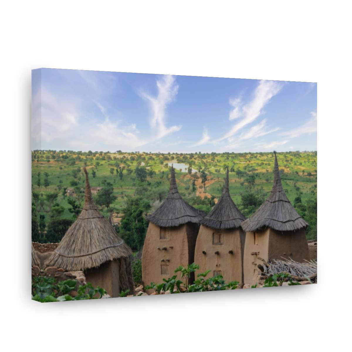 Inland landscapes of Mali
