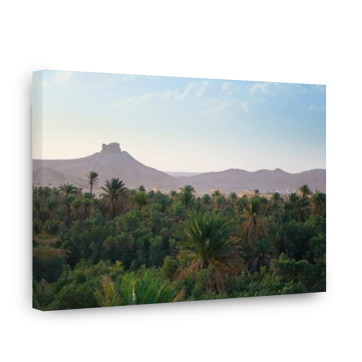 Syria, Palmyra ruins (UNESCO Site), Date Palm Oasis