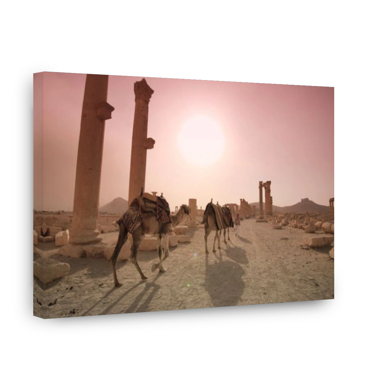 Syria, Palmyra ruins (UNESCO Site), Great Colonnade