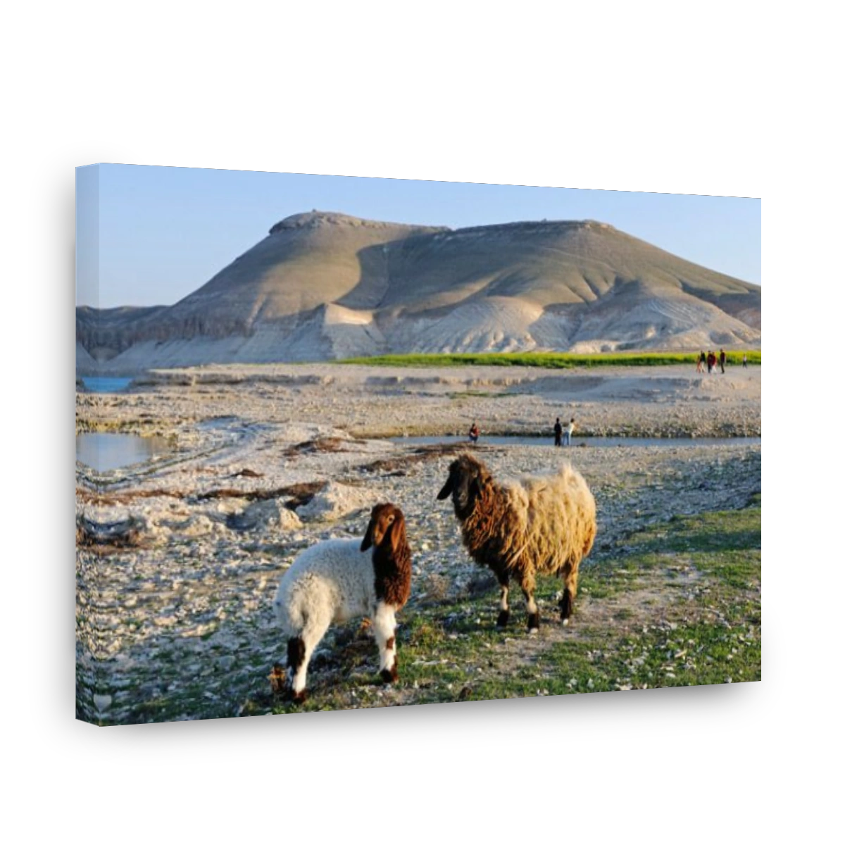 Mountain Jebel Arruda on the Asad reservoir of the Euphrates, Syria, Asia
