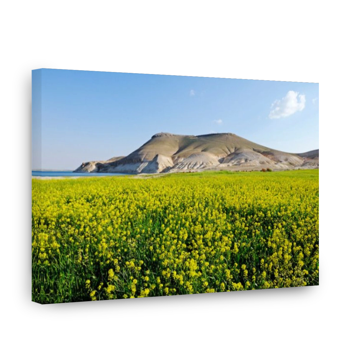 Mountain Jebel Arruda at the Asad reservoir of the Euphrates, Syria, Asia