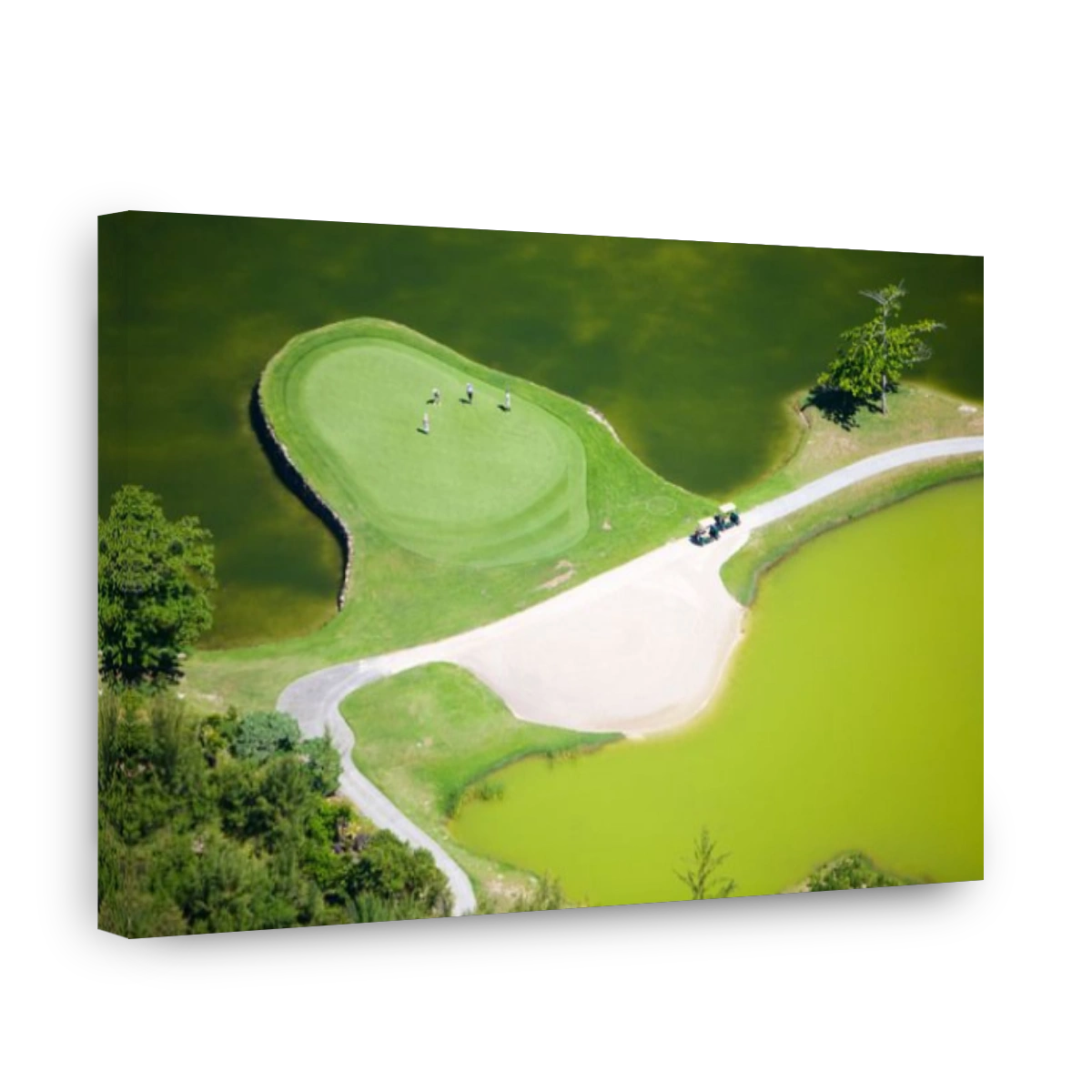 Aerial view of golf course in luxury resort in Mauritius. Four people playing golf.