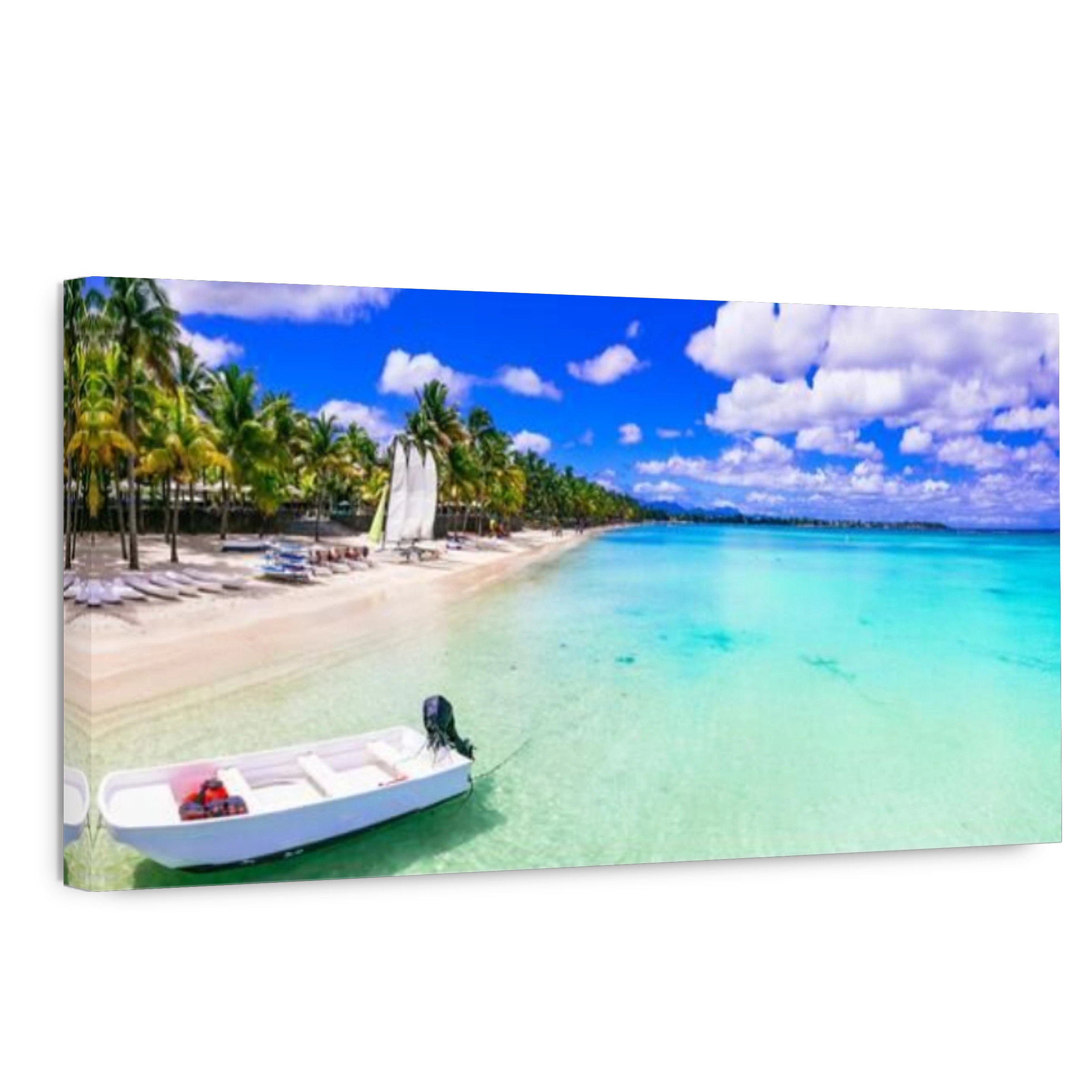 Tropical paradise in Trou Aux Biches,Mauritius.