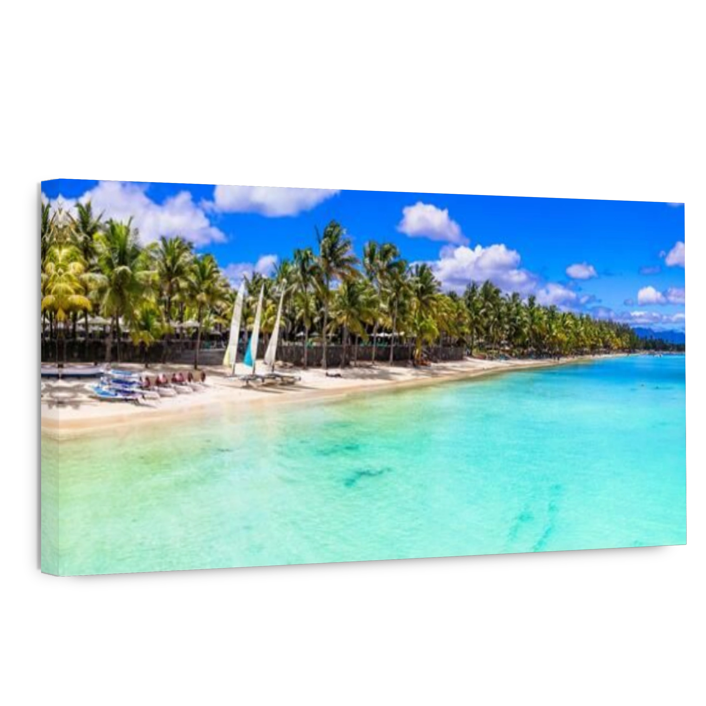 Tropical paradise in Trou aux Biches,Mauritius island.