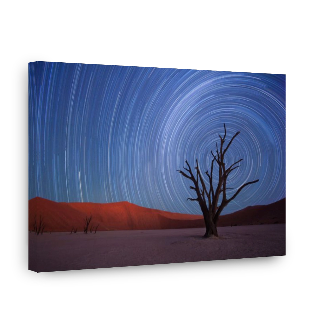 Star trails,Dead Vlei, Sossusvlei,Namibia