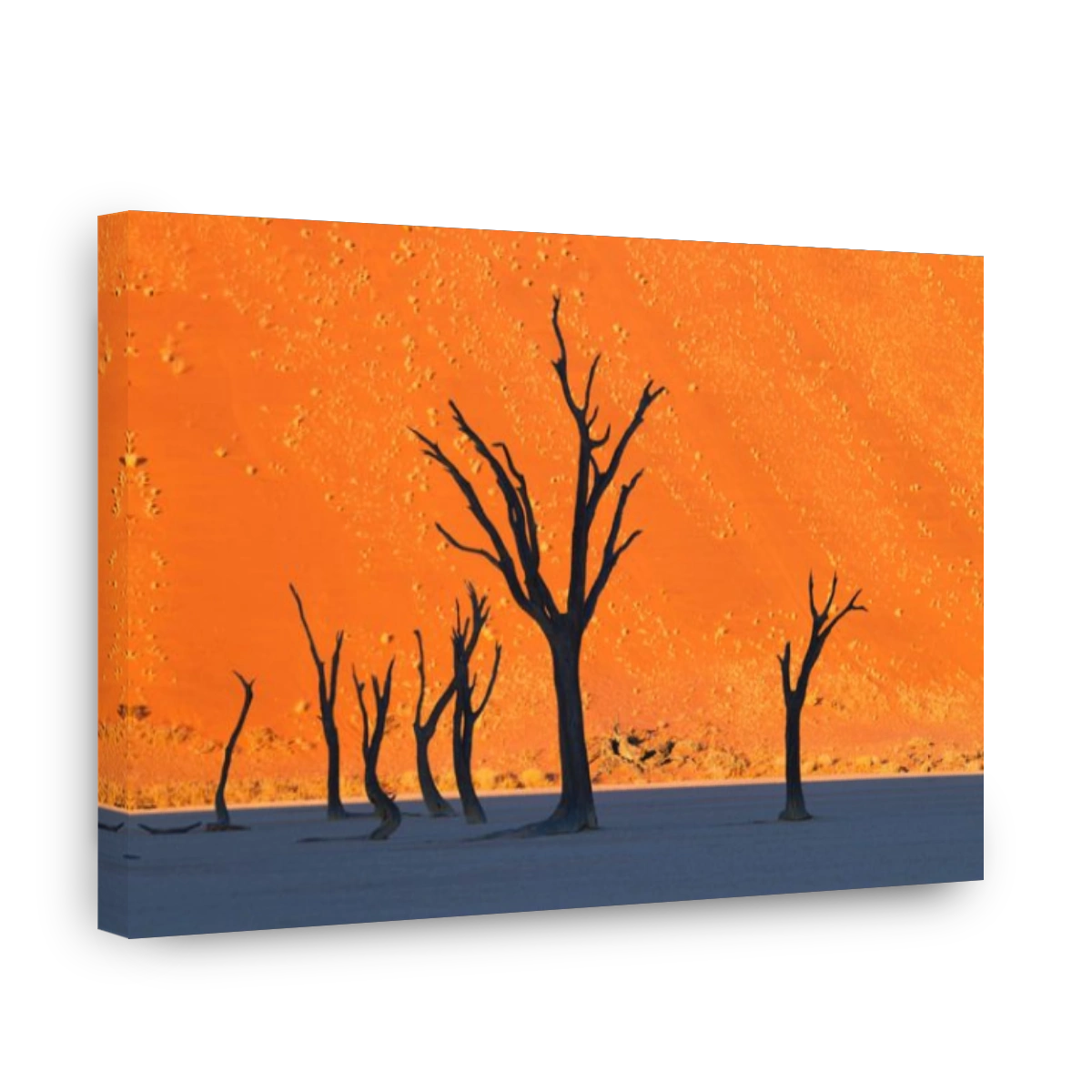 Salt pan. Dead Vlei.Namibia