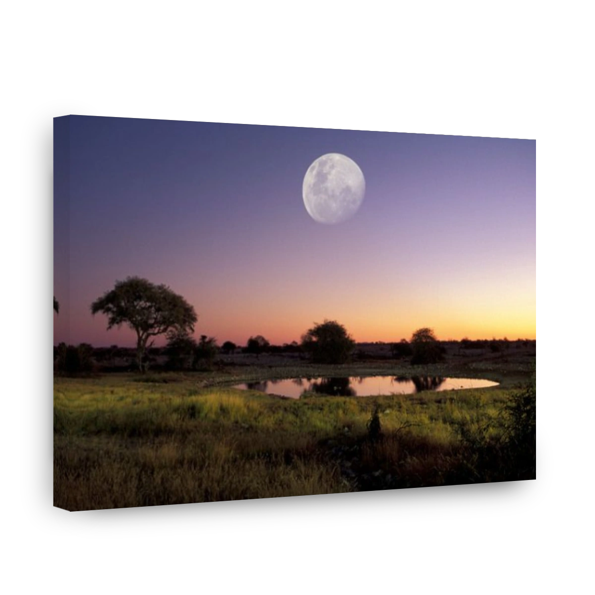Africa Etosha national park Full moon Namibia Africa night landscape Okaukuejo Waterhole