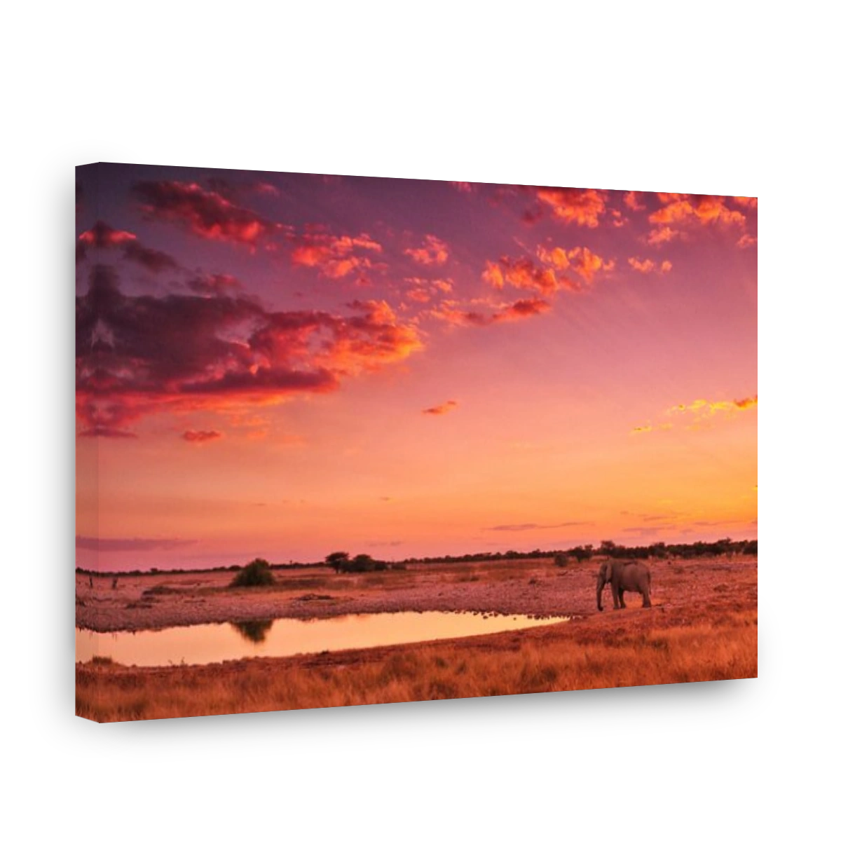 Africa, Namibia, Etosha, National Park, sunset, elephant, animal, waterhole, safari, animal, wildlife, red, Loxodonta african, a