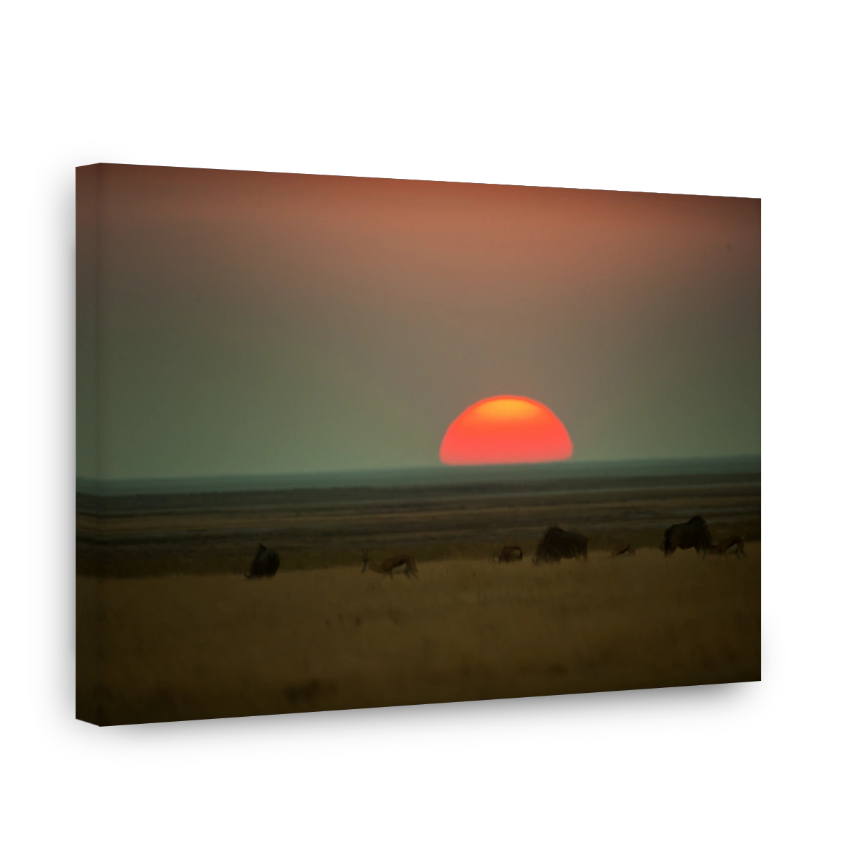 Sunset near Halali Camp, Etosha National Park, Namibia