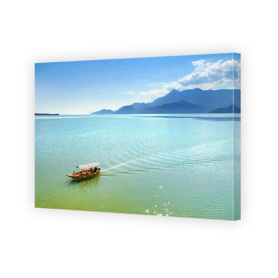 Tourist boat on Skadar Lake (Skadarsko Jezero), Montenegro