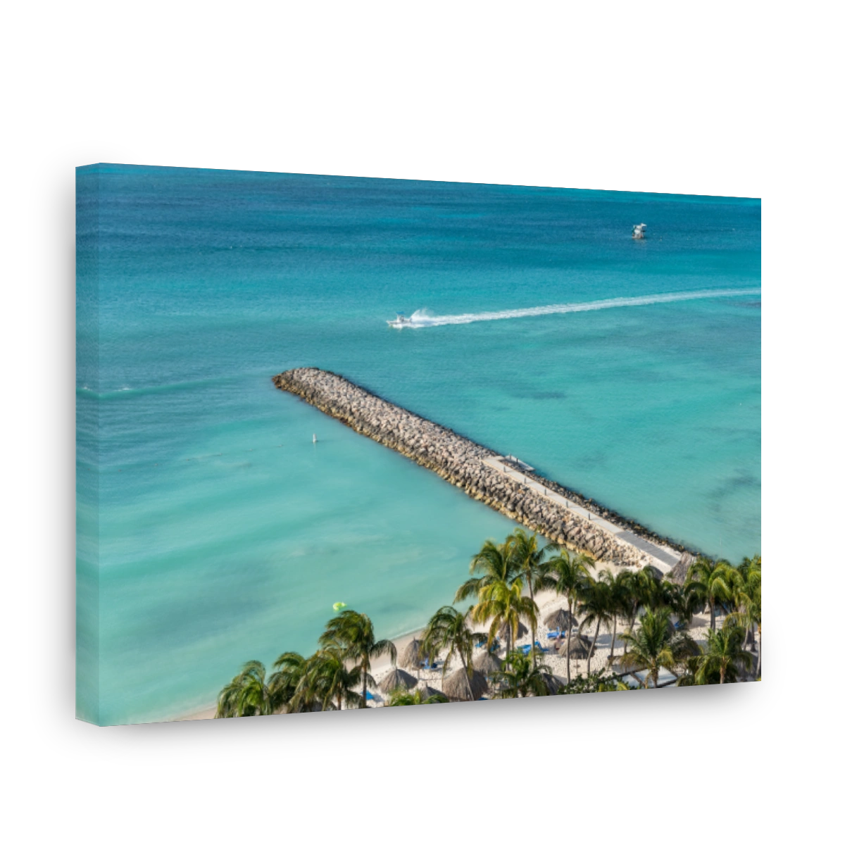 Coconut trees in the sand on a beach in Aruba. Lesser Antilles