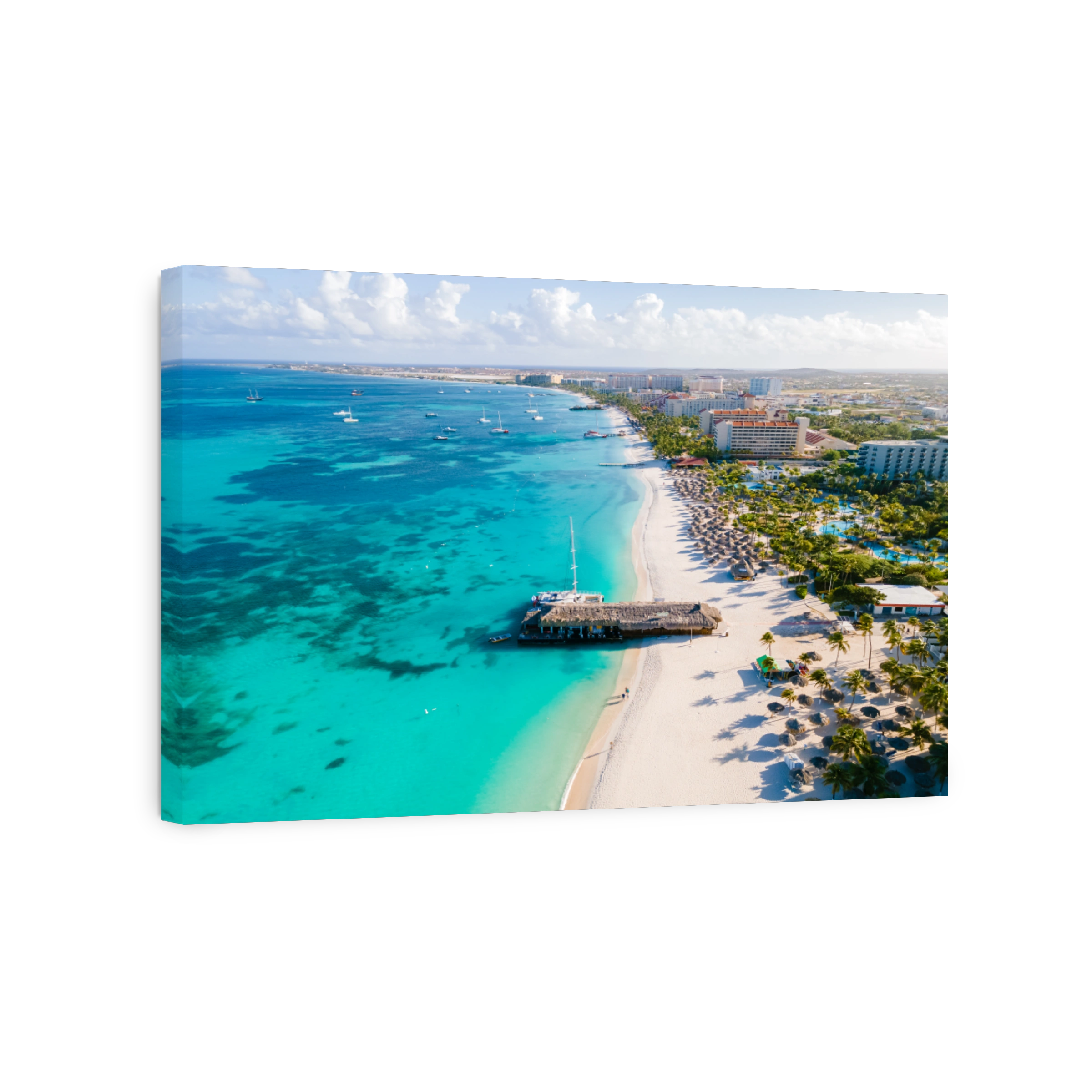 Palm Beach Aruba Caribbean, white long sandy beach with palm trees at Aruba Antilles