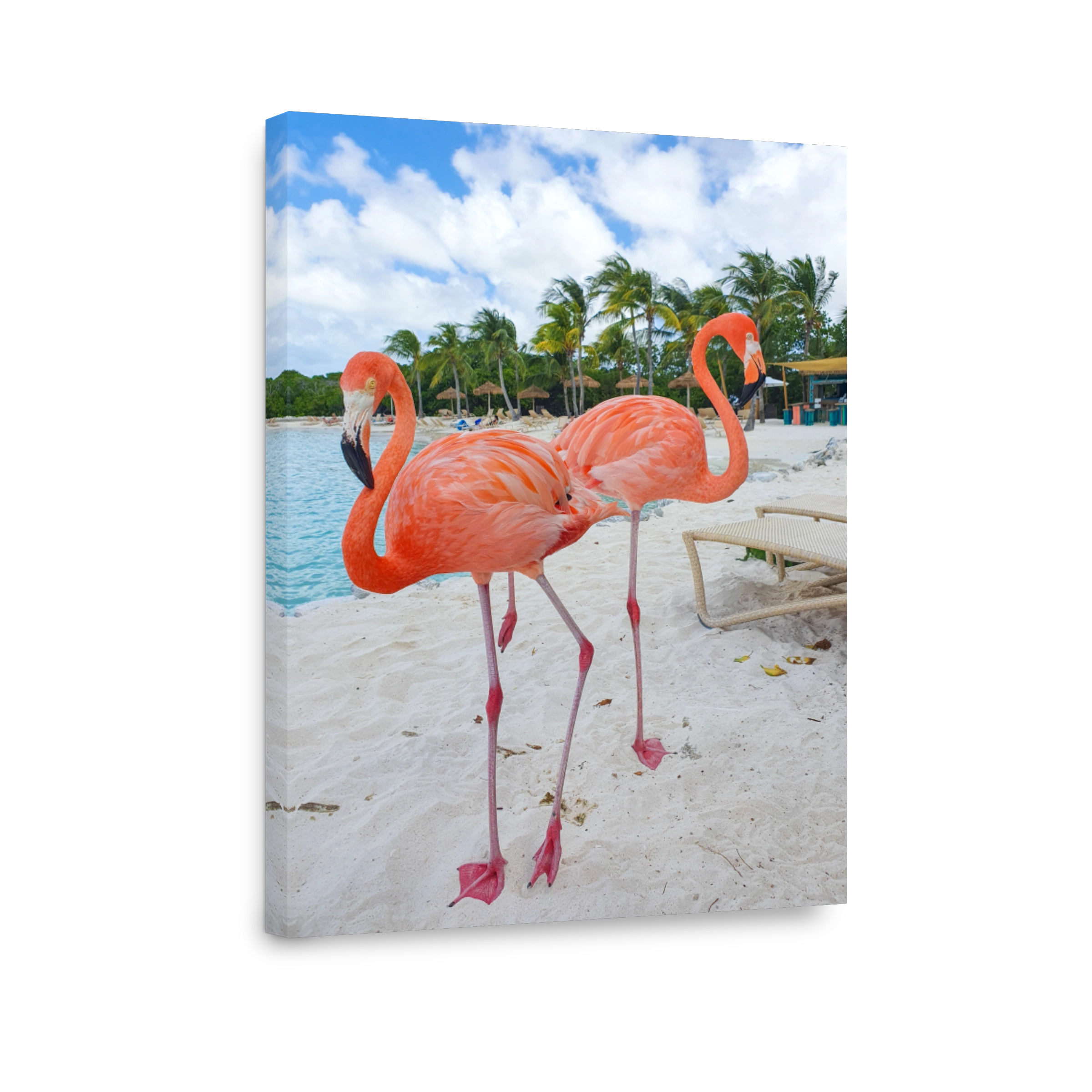 Two graceful flamingos stand on the sandy beach under a bright blue sky in a tropical paradise