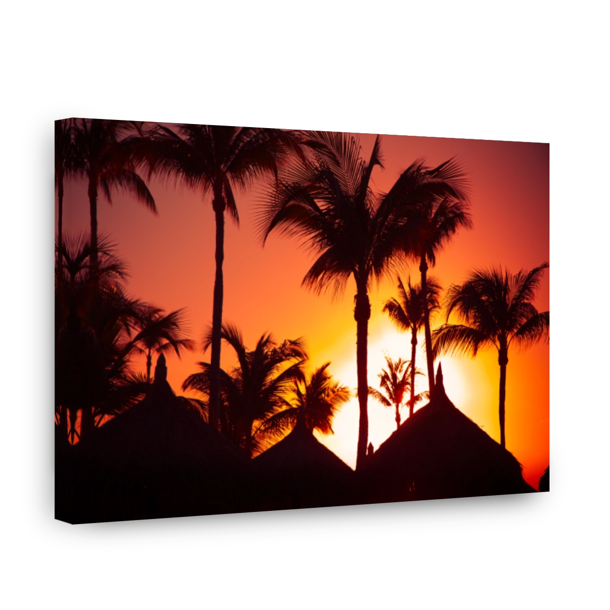 Tropical sunset scene