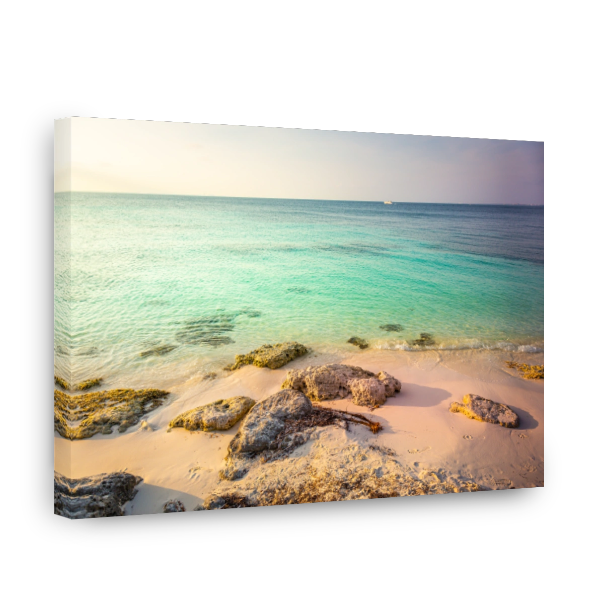 Idyllic and translucent caribbean beach at sunny day in Aruba