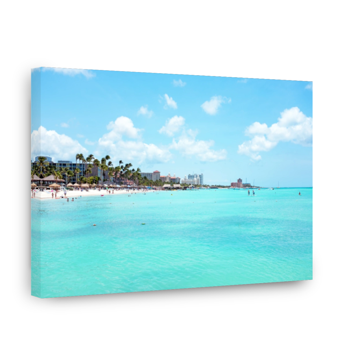 Palm beach on Aruba island in the Caribbean Sea