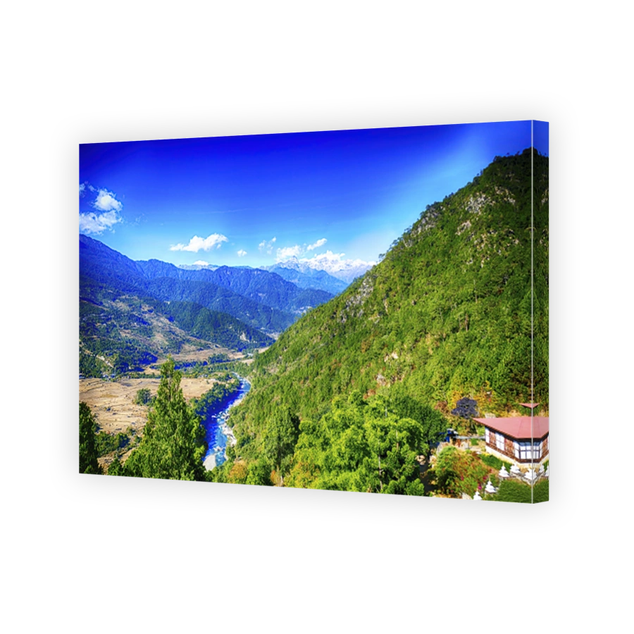 Aerial shot of rice paddies on steep mountainside near Punakha,  Bhutan