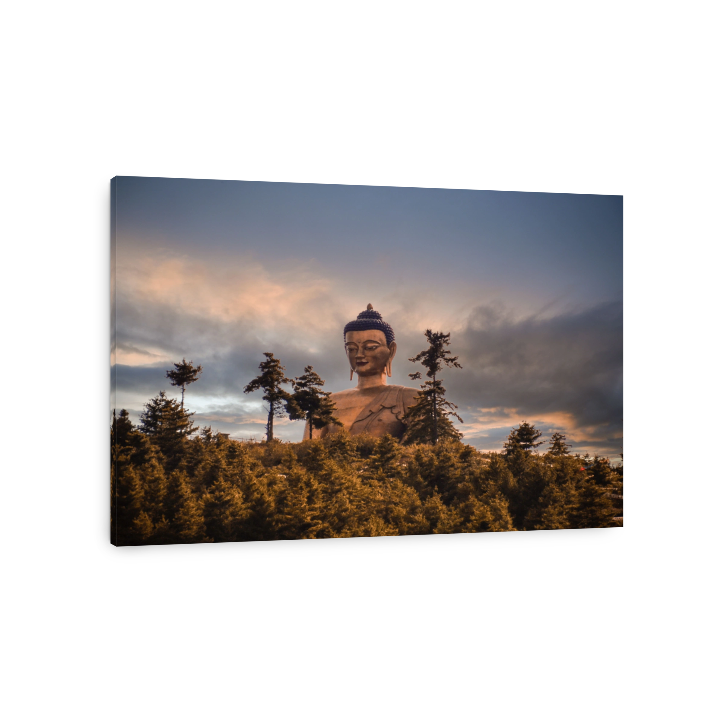 Golden Buddha statue stands atop a hill of trees, illuminated in the background: Bhutan