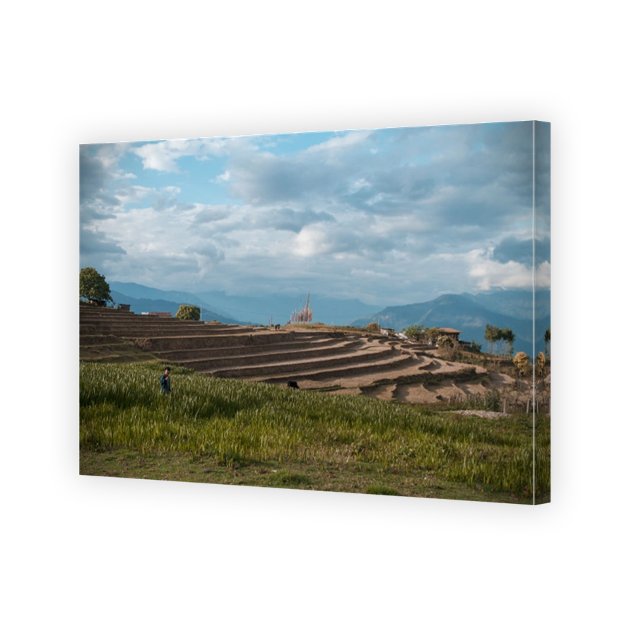 Remote farm in Bhutan Paddy fields