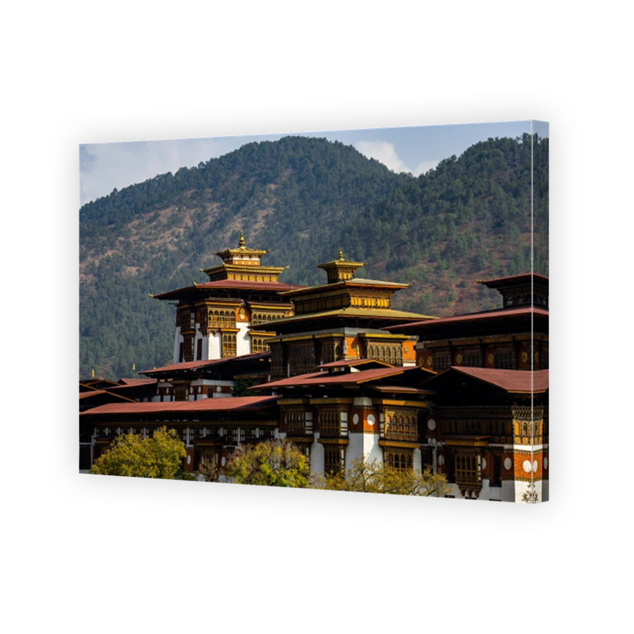 Punakha Dzong with mountain backdrop