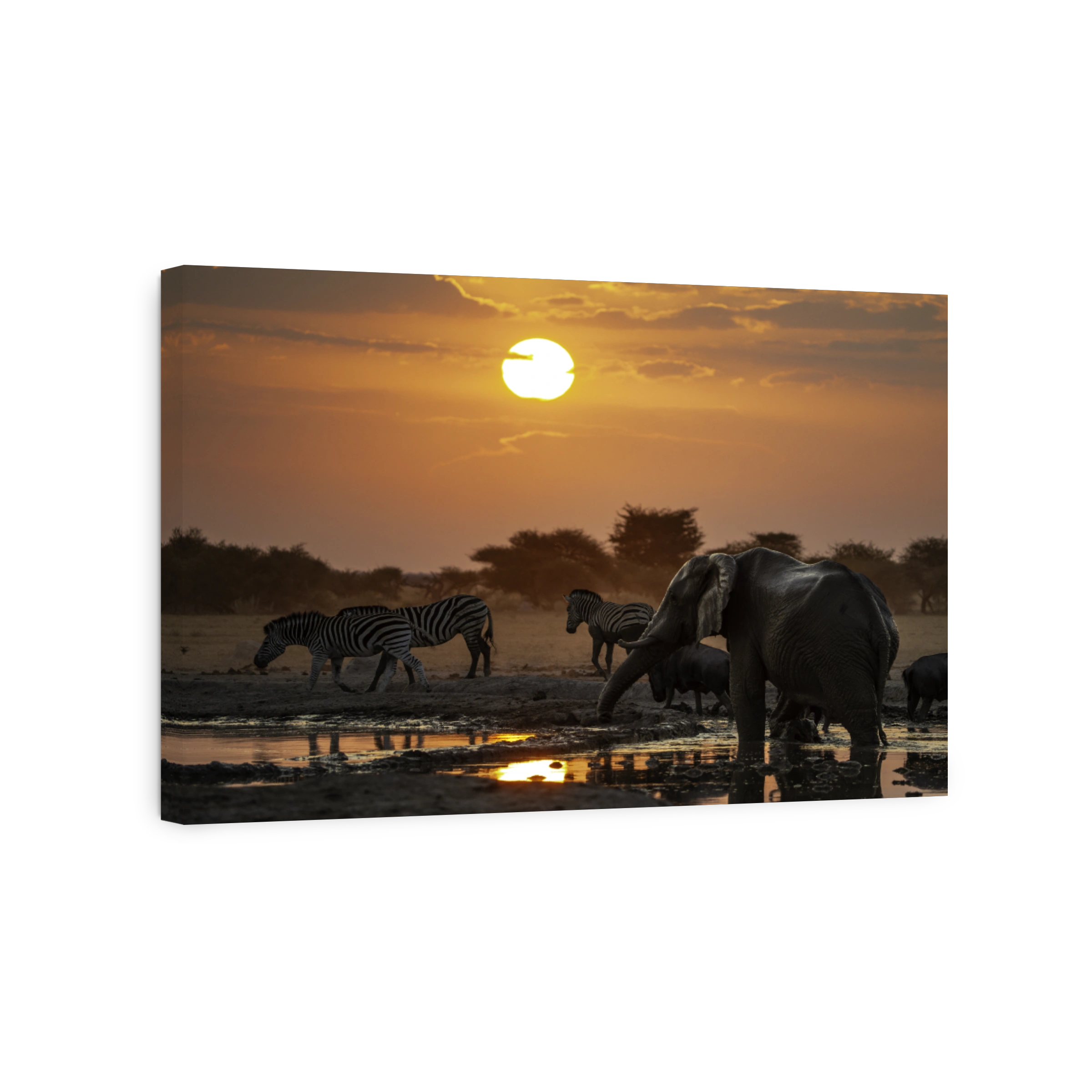 An  African elephant in a waterhole at sunset
